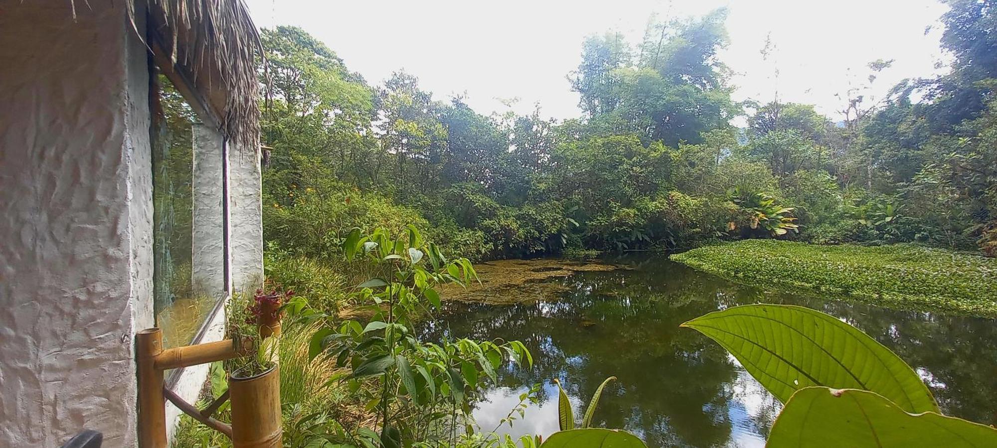 Cantalarana Lodge Mindo Rum bild