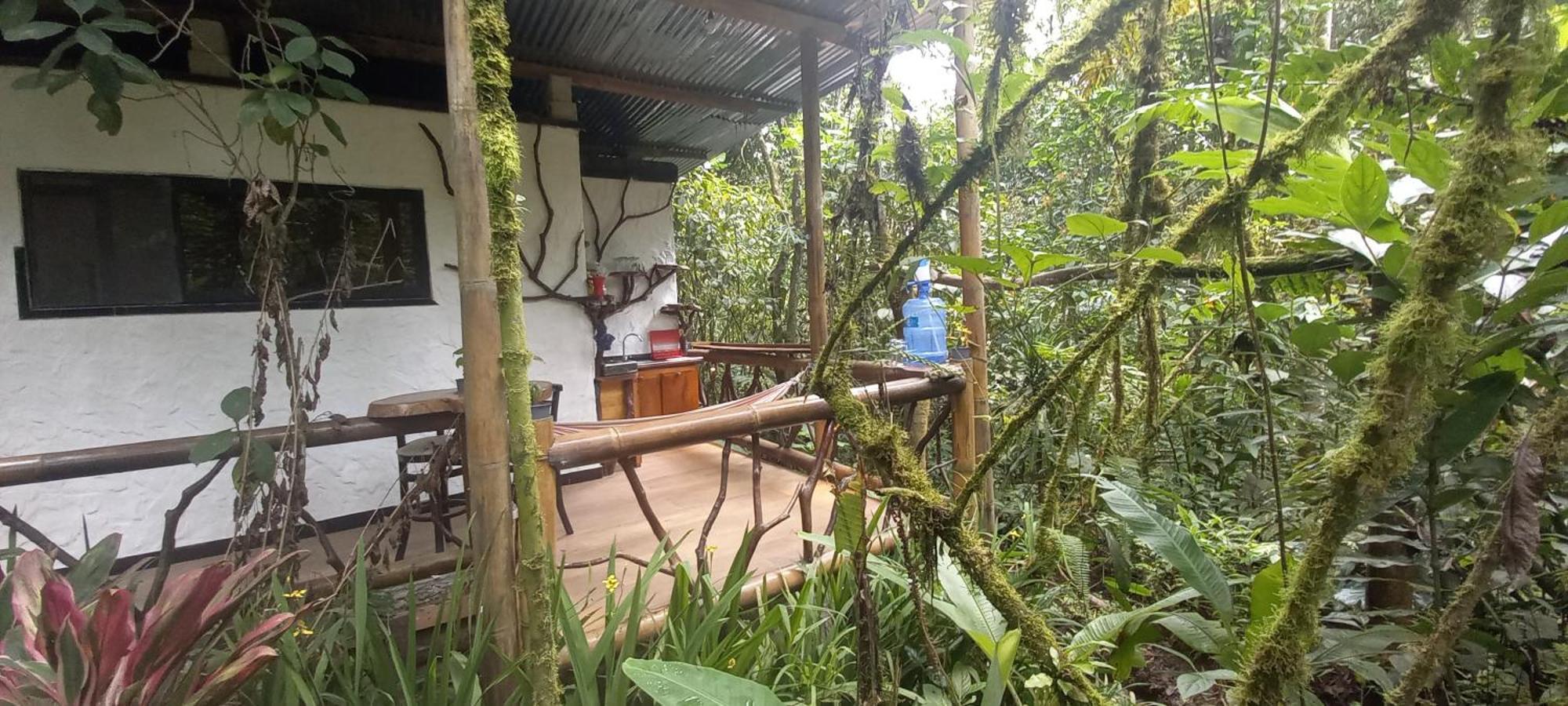 Cantalarana Lodge Mindo Rum bild
